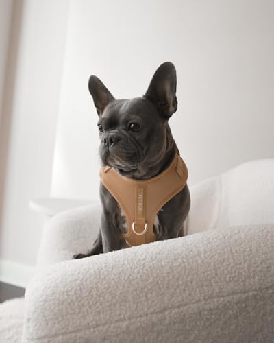 Premium No-Pull Dog Harness Soft Neoprene & Breathable Mesh Vest with Front & Back Clip D-Rings Adjustable Lightweight Walking Harness for Puppies, Small & Medium Dogs (Beige, L) - color: Beige, size: L: Neck=16.5-22''/Chest=22.4-32.7''