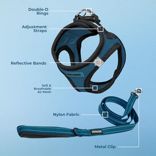 Voyager Step-in Air All Weather Mesh Harness and Reflective Dog 5 ft Leash Combo with Neoprene Handle, for Small, Medium and Large Breed Puppies by Best Pet Supplies - Blue, XX-Small - color: Leash Harness Set (Blue Base), size: XXS (Chest: 11.5 - 13" * F