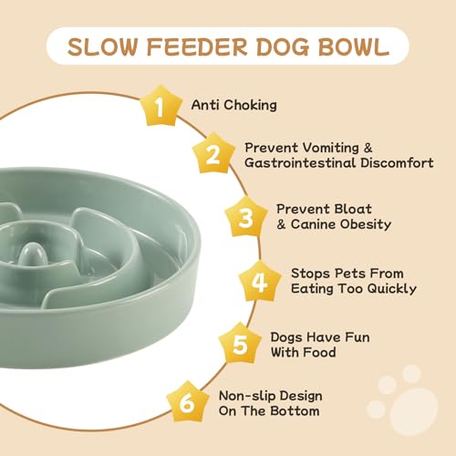 Havniva 6.1” Raised Slow Feeder Dog Bowls Set, 0.9 Cups Ceramic Slow Feeder Dog Bowl and 6.1” Dog Water Bowl with Elevated Wooden Stand Puzzle Dog Food Bowl for Small Dogs Anti-Gulping & Anti-Choking - color: 2 x Light Green+Stand-A, size: 6.1inch-New