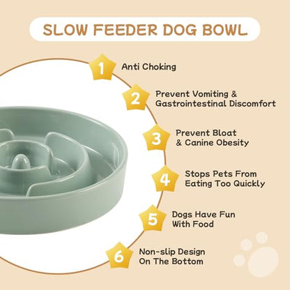 Havniva 6.1” Raised Slow Feeder Dog Bowls Set, 0.9 Cups Ceramic Slow Feeder Dog Bowl and 6.1” Dog Water Bowl with Elevated Wooden Stand Puzzle Dog Food Bowl for Small Dogs Anti-Gulping & Anti-Choking - color: 2 x Light Green+Stand-A, size: 6.1inch-New