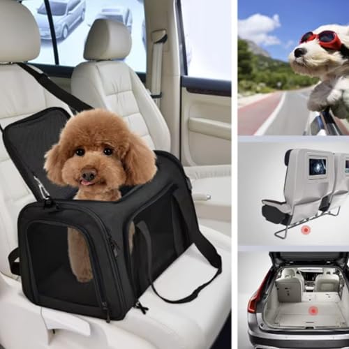Movelo, Pet Carrier with Two Entrances – Top & Side Opening Soft-Sided Travel Carrier for Cats & Small Dogs up to 25 lbs – Airline Approved, Mesh Ventilation, Removable Pad & Shoulder Strap