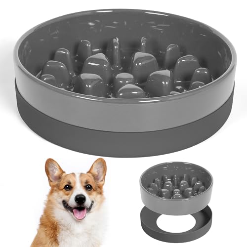Sted Ceramic Slow Feeder Dog Bowls with Silicone Base, Slow Feeding Dog Bowl Small Medium Breed, Dog Food Bowls for Fast Eaters, Slow Down Eating, Puzzle Dog Food Bowl, Maze Grey - color: Grey, size: Medium-8 inches