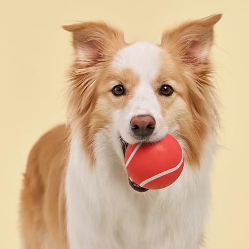 Playology Dog Toys | Squeaky Chew Ball for Large Dogs | Beef Scented Jumbo Dog Ball | Bouncy Floating Chew Toys for Fetch - size: Jumbo, style: Beef