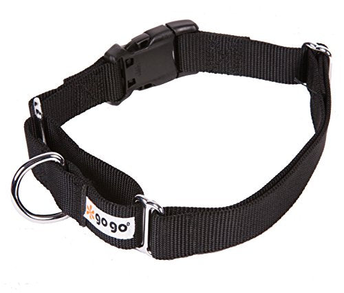 GoGo Pet Products GoGo 3/4-Inch Martingale Dog Collar, Medium, Black - color: Black, size: Medium (3/4" web width)