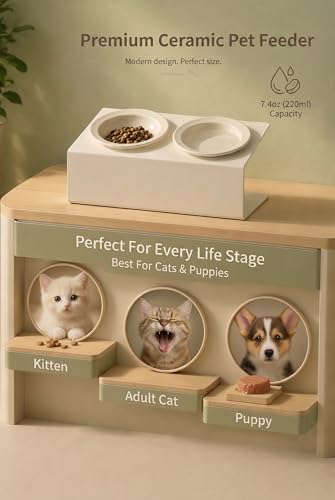 Elevated Cat Bowls 3.4 oz x2, Raised Cat Bowl Stand, Ceramic Cat Food and Water Bowl Set for Cats and Small Dogs (White) - color: white