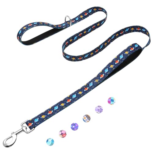 5ft Dog Leash with Two Padded Handles, Heavy Duty Strong Nylon Pet Leash with Soft Neoprene Handle for Small Medium Large Dogs, Blue Space - color: Blue Space, size: 1 in x 5 ft