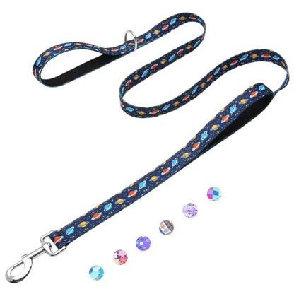 6ft Dog Leash with Two Padded Handles, Heavy Duty Strong Nylon Pet Leash with Soft Neoprene Handle for Small Medium Large Dogs, Blue Space - color: Blue Space, size: 1 in x 6 ft