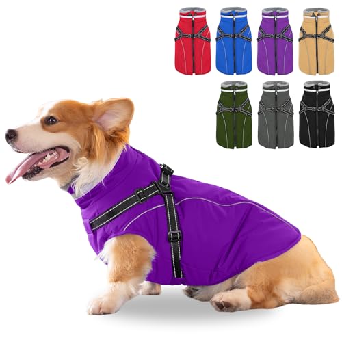 Fragralley Dog Coat with Harness Built in, Waterproof Windproof Reflective Warm Puffer Jacket, Fleece Lined Vest Winter Parka for Small, Medium, Large Dogs - color: Purple, size: X-Small