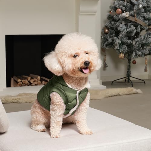 Vecomfy Fleece Lining Extra Warm Dog Hoodie in Winter,Small Dog Jacket Puppy Coats with Hooded Green XS - color: Green, size: X-Small (Pack of 1)