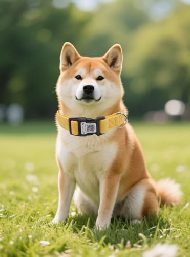 THAIN Smart QR Code Dog Collar-Nylon & Velvet Pet Collar with Unique ID Registration, Adjustable Plastic Buckle for Medium Dogs–Black, Red, Pink, Yellow (Yellow, M) - color: Yellow, size: M