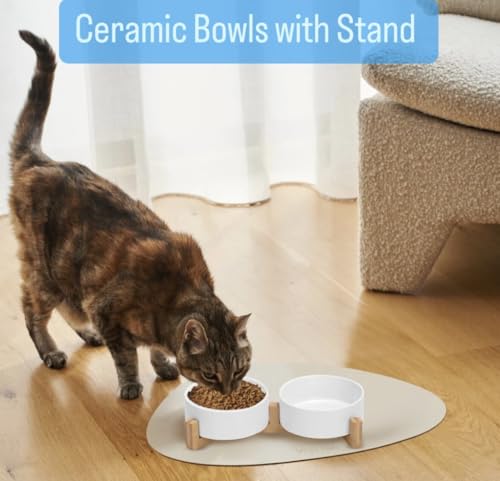 Ceramic Cat and Small Dog Bowl Set – Modern Indoor Small Size Pet Food and Water Bowls with Wood Stand – Non Slip Puppy Sized Feeding Station with Double Dishes (White) - color: White