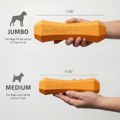 Playology Dog Toys | Squeaky Chew Stick for Dogs | Cheddar Cheese Scented Medium Fetch Toy | Squeaky Dog Chew Toy - size: Medium, style: Cheddar Cheese