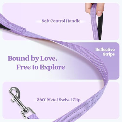 rabbitgoo Dog Harness Small Sized and Leash Set, Step in Soft Light Puppy Vest, Breathable Mesh Pet Harness, Reflective for Safe Easy Walking, Light Purple XXXS - color: Light Purple, size: Xxxs (chest: 10.8 - 11.8")