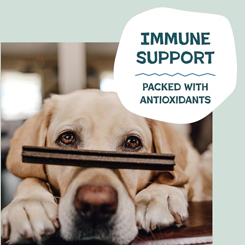 Shameless Pets Blueberry & Mint Dental Chews for Dogs, 32 Chews - Natural Dog Teeth Cleaning Treats with Fresh Breath Benefits | Grain-Free Dental Sticks for Small, Medium & Large Dogs - size: 1.75 Pound (Pack of 1)
