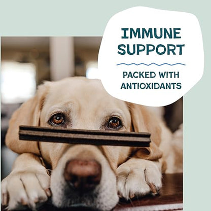 Shameless Pets Blueberry & Mint Dental Chews for Dogs, 32 Chews - Natural Dog Teeth Cleaning Treats with Fresh Breath Benefits | Grain-Free Dental Sticks for Small, Medium & Large Dogs - size: 1.75 Pound (Pack of 1)