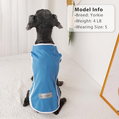 2 Pack Dog Clothes,Dog Shirts for Small Dogs,Quick Dry Dog Vest Boy Girl Summer, Puppy T-Shirt with Reflective Strip,Sun Protection Sleeveless Cool Breathable Pet Apparel(Turquoise and Pink, XS) - color: Turquoise and Pink, size: X-Small (Chest 12.2 in)