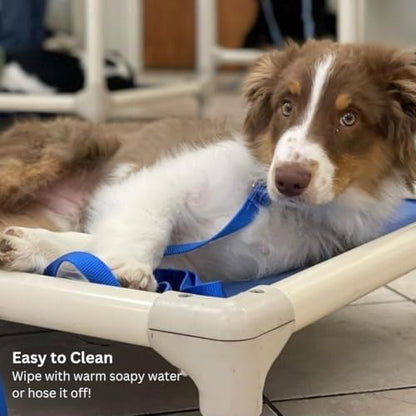 Kuranda Chewproof Elevated Dog Bed – 40" x 25" - Sunsure Textilene - Birch - color: Birch, size: Large