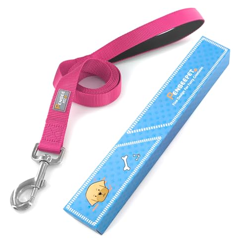 Basic Dog Leashes 6 FT Padded Handle Nylon Dogs Leashes for Small Dogs Hot Pink - color: Hot Pink, size: Small : 5/8" x 6 FT
