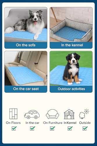 Blue Cooling Mat & Sleeping Pad | Water Absorption | Safe Materials | Easy Carry & Clean | Ideal Cooling Pad for Dogs and Cats | Perfect for Camping, Crates, and Pet Beds | 19.7"L x 15.7"W x 0.8"Th - size: Small