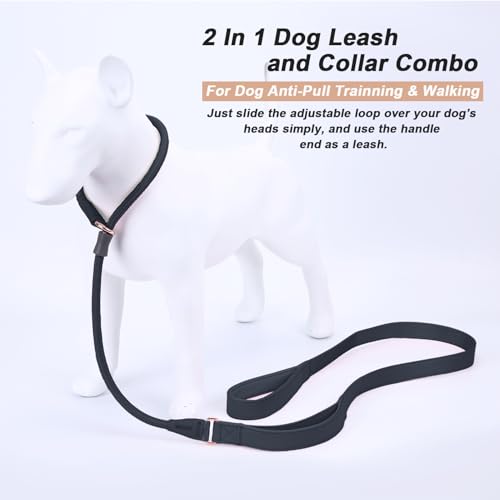 Slip Lead Dog Leash, Dog Training Leash with Double Handle, Soft Leather Slip Leash and Collar, Heavy Duty Nylon Dog Lead, No Pull Walking for Medium Large Small Dogs 5ft Black - color: Black, size: 5ft