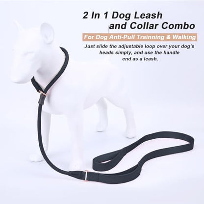 Slip Lead Dog Leash, Dog Training Leash with Double Handle, Soft Leather Slip Leash and Collar, Heavy Duty Nylon Dog Lead, No Pull Walking for Medium Large Small Dogs 5ft Black - color: Black, size: 5ft