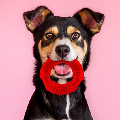 SIMENA Heavy Duty Dog Chew Toy, Natural Teething Toy for Medium Breeds, Tough Durable Chewy Toy, Teeth Cleaning Tough Dog Toys (Ring, Red) - style: Ring Red
