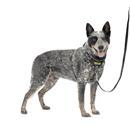 PetSafe Easy Walk Comfort No-Pull Dog Harness Full-Body Padding - Better Walks on the First Use - 5 Points of Adjustment Medium, Black - color: Black, size: Medium