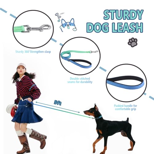 Roses&Poetry Bluegreen Small Dog Collar and Leash Set, Puppy Reflective Leashes with Collars, Adjustable Durable Matching Collar Leash for Small Dogs Girl (Bluegreen-S) - color: BlueGreen, size: S