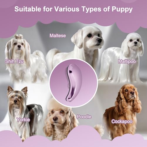 Small Dog Brush- Grooming Tool for Teddy, Yorkies, Maltese, Shih Tzu, Chihuahua - Puppy Hair Brush (Electroplating Purple) - color: Electroplating Purple