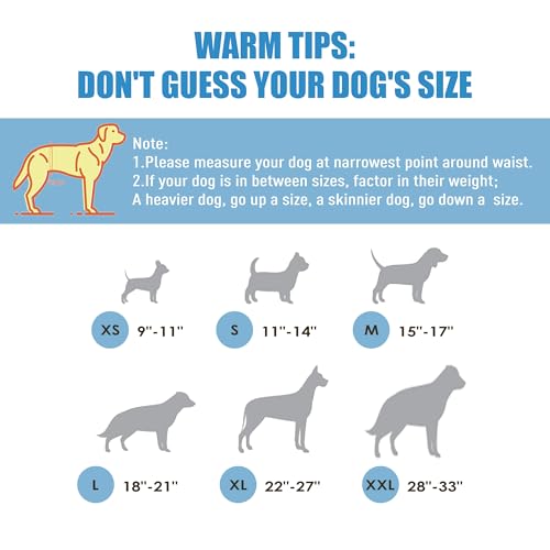 Wegreeco Jeans Washable Dog Diaper Male (Pack of 3) - Washable Male Dog Belly Wrap (Small) - color: Blue Jeans, size: Small (Pack of 3)