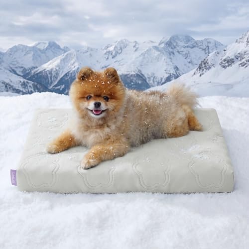 LE SURE ApexCloud™ Small Cooling Dog Bed with Washable Cover, 23x17 Inch | Q-Max>0.5 Cool-Touch Fabric, Orthopedic Egg Crate Foam,Breathable Non-Slip Summer Mat,For Active Senior Long-Haired Pets,Grey - color: Cooling Gray, size: 23x17x2.8