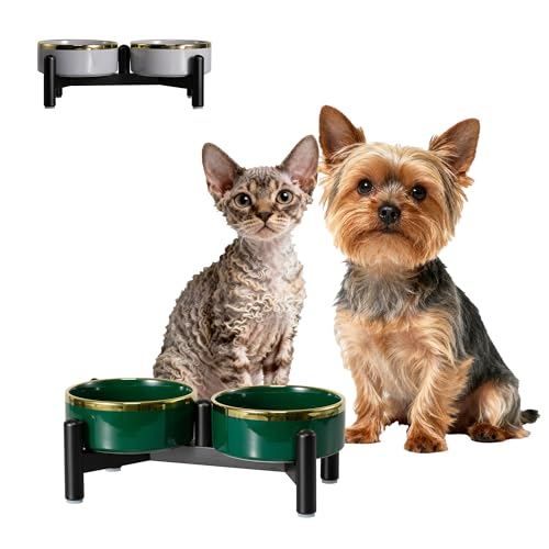 Elevated Ceramic Dog Bowl Set - Double Dishes with Stainless Steel Stand – Raised Feeding Bowls for Cats and Small Dogs - Food & Water Set - 5" / 1.6 Cups (160 g / 300 ml) - Green - color: Green, size: S