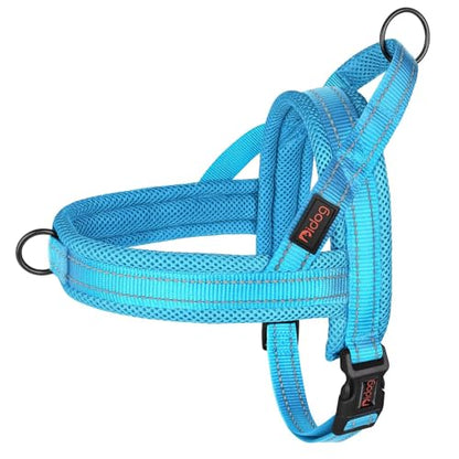 Didog No Pull Dog Harness with Breathable Mesh Padded,Reflective & Quick Fit Light Weight Dog Strap Vest Harness,Easy for Walking Training (XS:Chest 15-18", Mesh-Blue) - color: Blue, size: XS: Chest 15-18", Fit 9-18 lbs