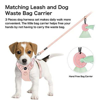 Petmolico Dog Harness for Small Dogs, Cute Harness Vest with Two Leash Clips and Soft Handle, Reflective Easy Walk Puppy Vest - Pink, Small - color: Pink, size: Small