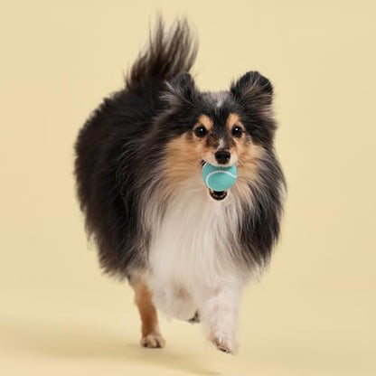 Playology Dog Toys | Squeaky Chew Ball for Dogs, Value 3-Pack | Peanut Butter Scented Small Dog Balls | Bouncy Floating Chew Toys for Fetch