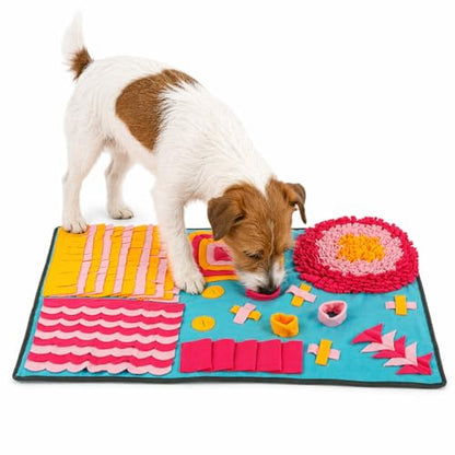 Pet Life ® 'Sniffer Snack' Multiple Treat Hiding and Engaging Pet Snuffle Mat Interactive Slow Feeding Dog Mat - color: Blue Pink and Orange