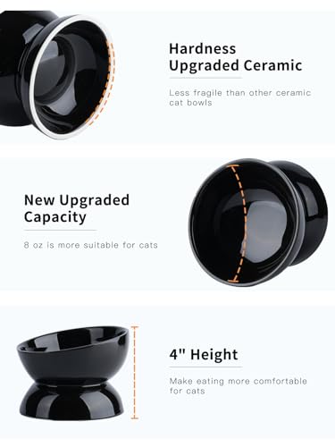 ABRUTY Cat Water Bowl, 16 OZ Ceramic Elevated Cat Bowls, 15° Tilted and Raised Pet Food Dish, Anti Vomiting Protect Pets' Spines and Whisker Fatigue - color: Black, size: 1 Pack