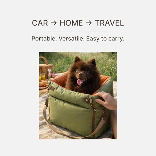 Dog Booster Car Seat for Small Dogs, Stable Non-Slip Design Up to 35 lbs, Water-Resistant PU Travel Carrier with Headrest Straps, Built-in Tether & Storage — Orange/Green