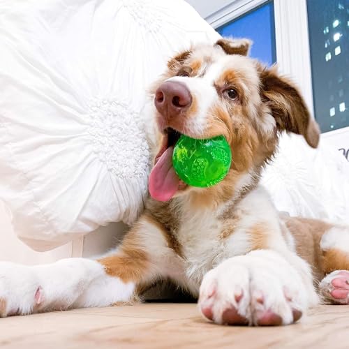 Hyper Pet DuraSqueak Dog Ball Toy, Interactive, Floats, Squeaks, Dog Balls for Fetching, Alternative to Traditional Tennis Balls - for All Breeds - size: 2.5 inch (2 Pack)