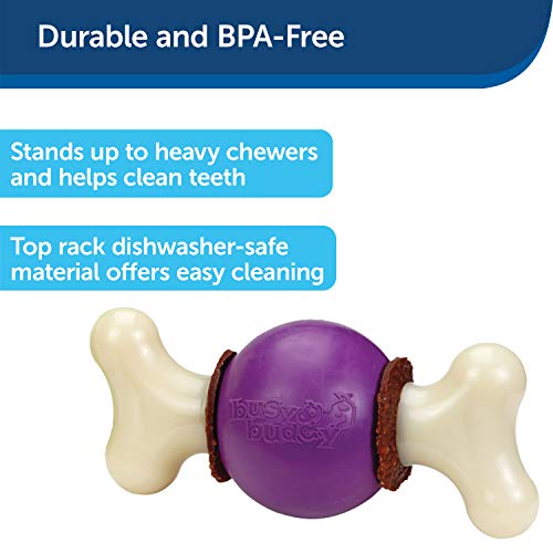 PetSafe Busy Buddy Bouncy Bone, Treat Holding Dog Toy, Medium/Large, Best for Dogs 50-90 Lb.