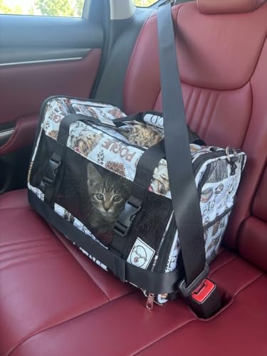 Airline Approved Pet Carrier with Wheels – 6 Removable 360° Spinner Wheels, Telescopic Handle with Phone Holder, Expandable Ventilated Cat & Dog Travel Carrier