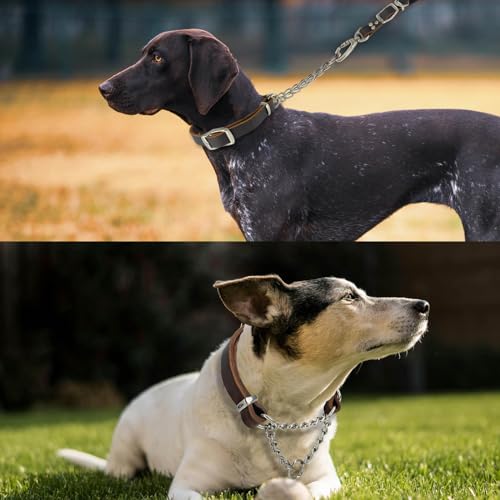 Leather Martingale Dog Collar, Soft Genuine Cowhide Handmade Assembled Stainless Steel Chain Martingale Collar Adjustable for Medium Large Dogs Pets. (L, Neck 20-25"(Martingale)) - size: L, Neck 20-25"(Martingale)