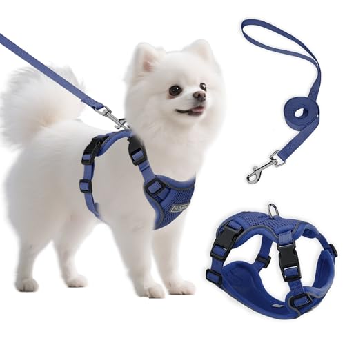 Small Dog Harness and Leash Set, Reflective Soft Breathable Mesh Vest, 3 Buckles, Adjustable Neck and Chest,Step in Dog Harness for Walking, Running, Training, Navy Blue, S - color: Navy Blue, size: Small