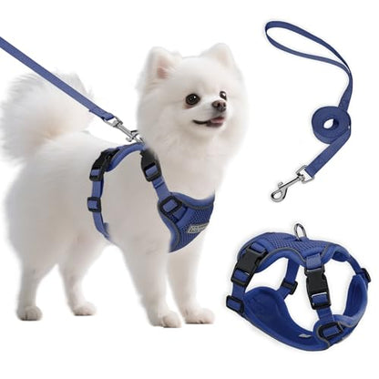 Small Dog Harness and Leash Set, Reflective Soft Breathable Mesh Vest, 3 Buckles, Adjustable Neck and Chest,Step in Dog Harness for Walking, Running, Training, Navy Blue, S - color: Navy Blue, size: Small