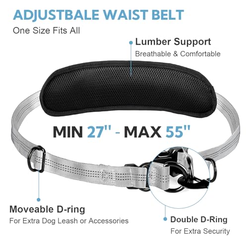 Hands Free Dog Leash with Pouch, Retractable Bungee with Double Padded Handles, Dog Leashes with Bungee for Medium & Large Puppy - color: Silvery