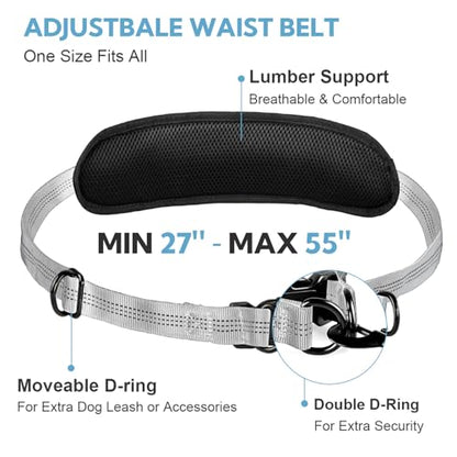 Hands Free Dog Leash with Pouch, Retractable Bungee with Double Padded Handles, Dog Leashes with Bungee for Medium & Large Puppy - color: Silvery