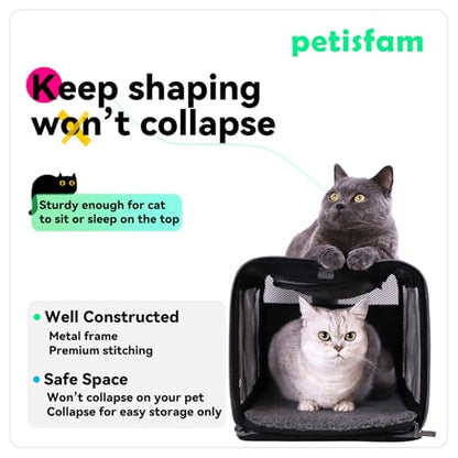 Soft Pet Carrier Bag for Cats and Puppy Under 20 lbs. Sturdy, Safe, Comfortable and Lightweight - color: Grey