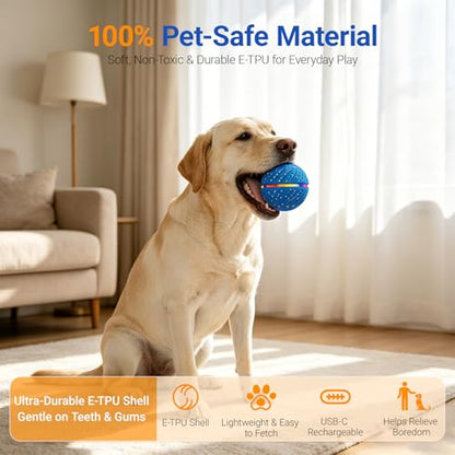 Interactive Dog Ball Toy for Small Medium Dogs – Automatic Rolling, Bouncing & Moving Dog Toy with LED Lights, 2-in-1 Fetch Toy, Durable E-TPU, USB Rechargeable (2.8” Blue) - color: Blue, size: Medium (2.8" / 70mm) – 019