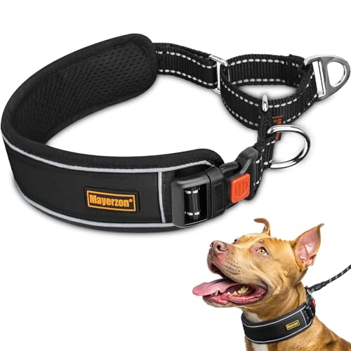 Mayerzon 2 Inch Wide Martingale Collar for Large Dogs, Patented No Pull Walking Training Dog Collar for Pitbull German Shepherd, with Buckle, Reflective Stitching, Adjustable (Black, M) - color: Black, size: M: 17"-19"