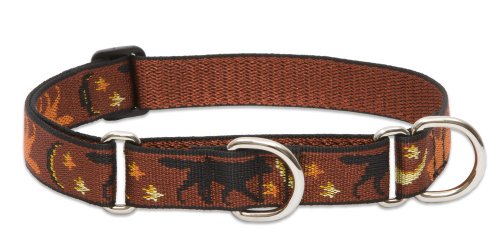 LupinePet Originals 1" Shadow Hunter 19-27" Martingale Collar for Large Dogs - size: 1"W; 19-27" Neck